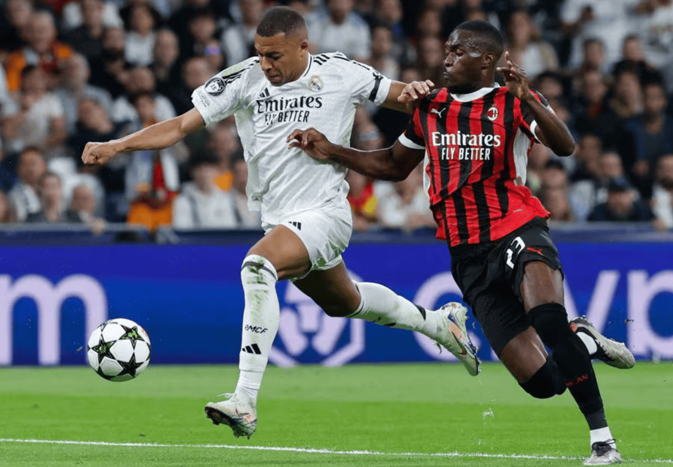 赛的观赏性 赛的观赏性