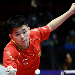 年轻选手杨 年轻选手杨