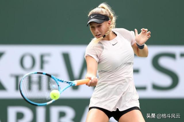 鲜明的标签 鲜明的标签