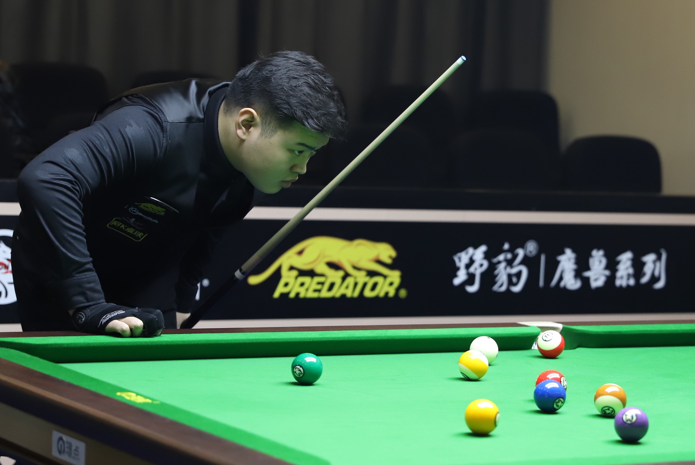 张之臻出现 张之臻出现