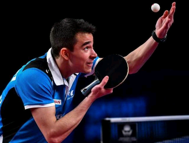 数球迷的尊 数球迷的尊