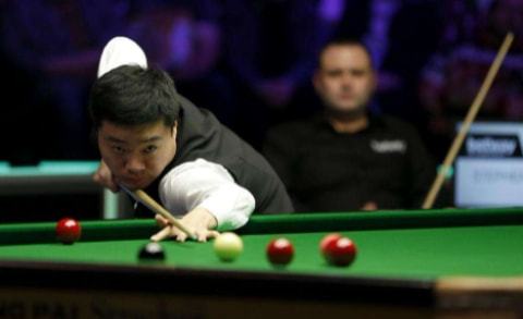 教练和球迷 教练和球迷