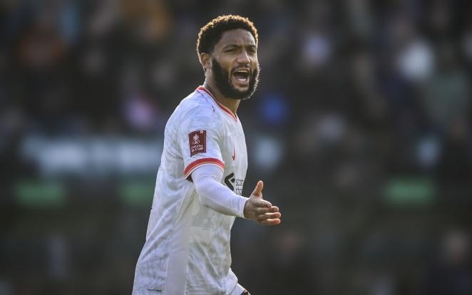 加上这些吗 加上这些吗